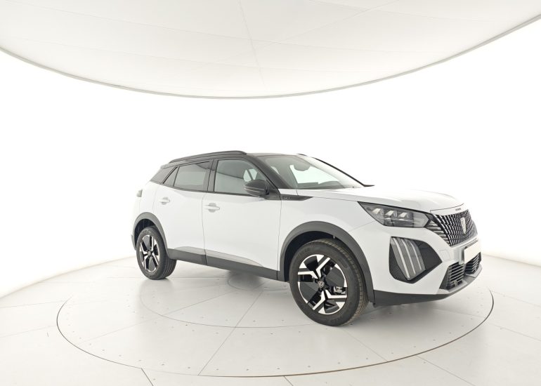 WhatsApp Image 2025-12-11 at 10.37.48 (1)